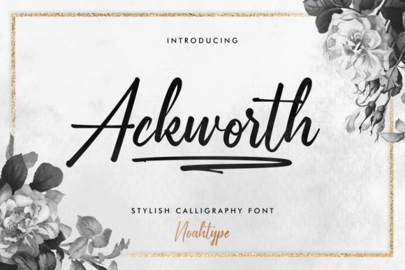 Ackworth Font: A Web Designer's Review