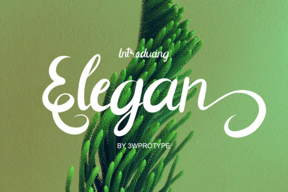 Elegan Script Font: A Web Designer's Review