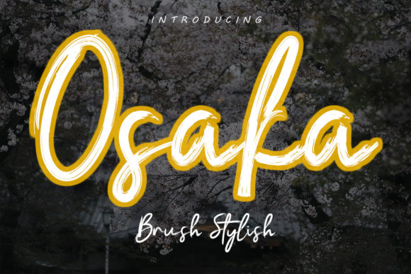 Osaka: A Modern Script Font for Web Design