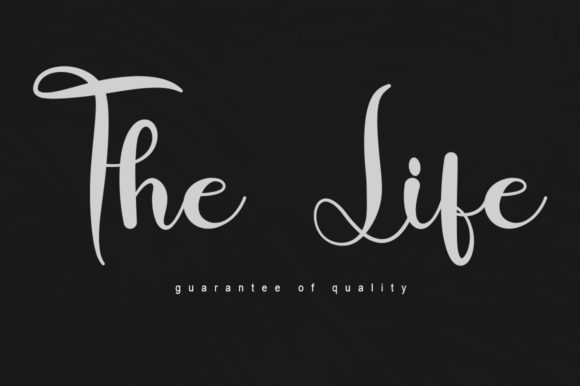The Life: A Premium Script Font for Brand Identity